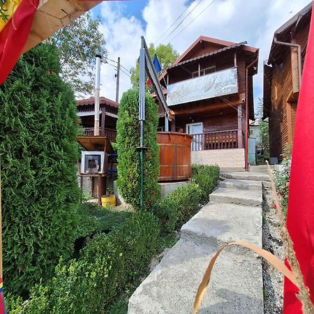 Casa Diana Villa Nucşoara Exterior foto
